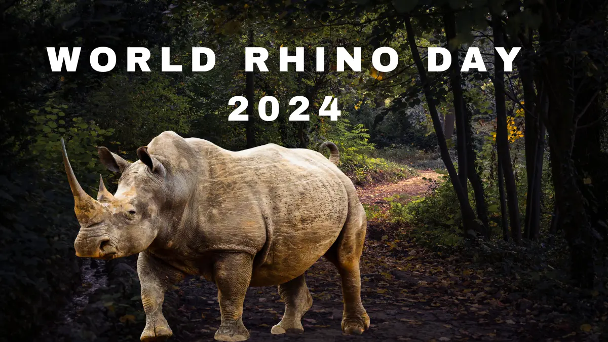 World Rhino Day