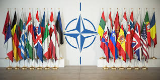 North Atlantic Treaty Organization (NATO)