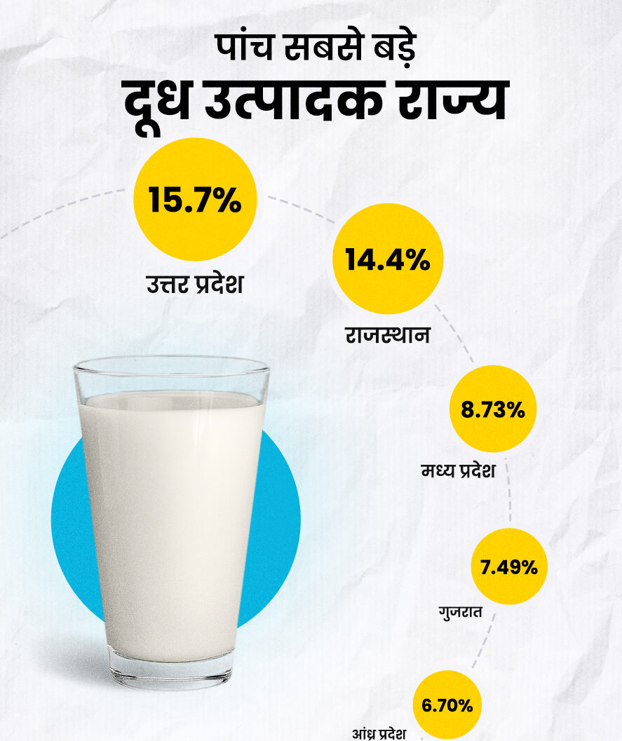 "सोने की चिड़िया" भारत बना दुनिया का सबसे बड़ा दूध उत्पादक