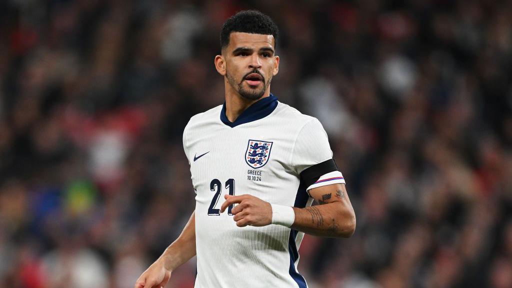 Dominic Solanke English Footballer